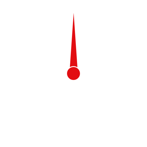 Needle